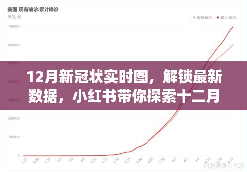 十二月新冠实时图深度解析，小红书带你探索数据背后的故事