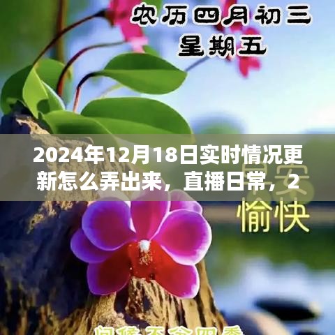 直播日常，温馨时光下的实时更新与分享