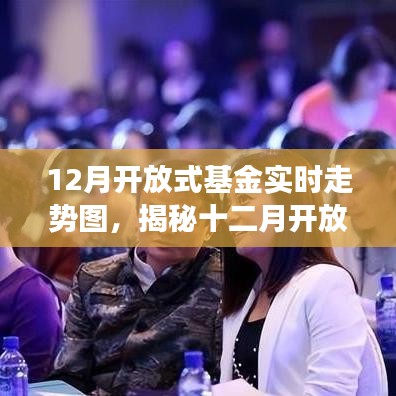 揭秘十二月开放式基金实时走势图，洞悉市场动态，引领投资方向！