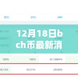 12月18日BCH币最新消息实时更新，全方位指南助力获取实时动态，适合初学者与进阶用户
