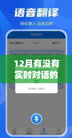十二月实时对话翻译软件测评，表现深度分析与推荐