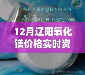 辽阳氧化镁价格背后的温情故事，冬日探秘与友情的交织