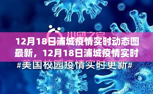 12月18日浦城疫情最新实时动态图解析及案例分析