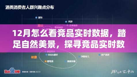 探寻自然美景中的竞品实时数据，秘密之旅启程，心灵与数据的交融体验