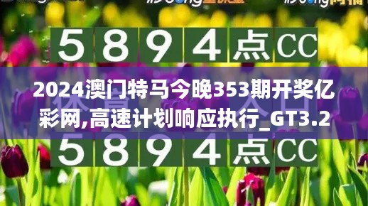2024澳门特马今晚353期开奖亿彩网,高速计划响应执行_GT3.275