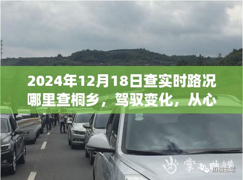 探寻桐乡路况新篇章，驾驭变化，从心出发