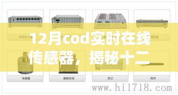 揭秘十二月COD实时在线传感器，科技前沿的监测利器，引领工业智能化新篇章