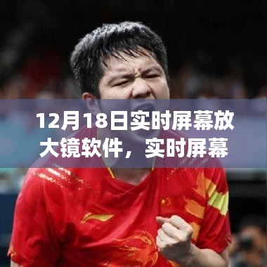 实时屏幕放大镜软件，重塑特定领域格局的进化之路（从诞生到发展）