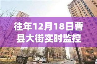 生张熟魏