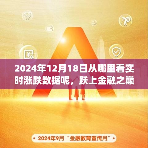 见证金融力量，实时涨跌数据尽在掌握，跃上金融之巅的2024年12月18日