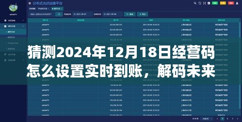 解码未来，前瞻与回顾2024年经营码实时到账设置