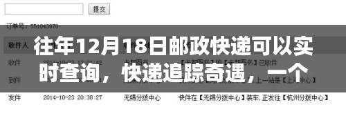 邮政快递追踪奇遇，友情与陪伴的温馨故事