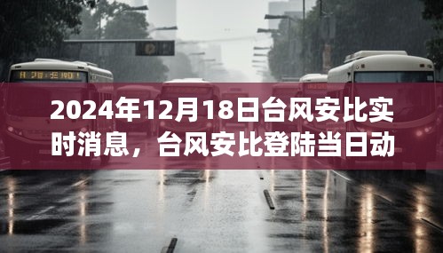 台风安比登陆动态与影响解析，聚焦应对之道（实时更新）