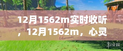 12月1562m，心灵与自然美景的实时交响