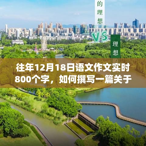 关于往年12月18日语文作文的详细撰写步骤指南，从构思到完成一篇文章的全过程揭秘