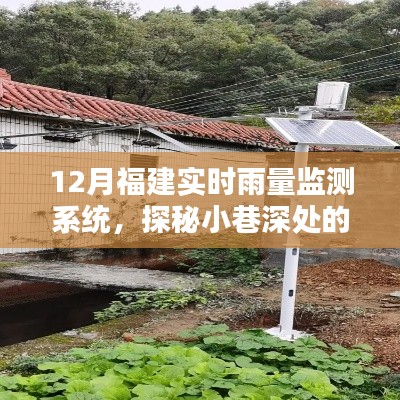 福建雨界小站，实时雨量监测系统探秘，雨巷深处守护安全先锋