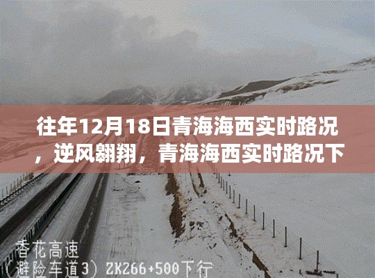青海海西逆风翱翔，实时路况下的励志故事与往年路况回顾