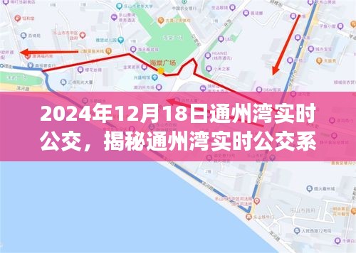 揭秘通州湾实时公交系统，2024年出行新体验，公交实时追踪尽在掌握！