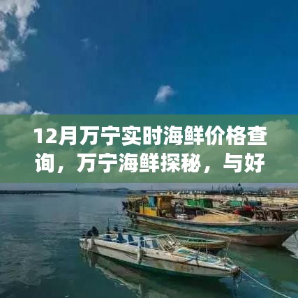 12月万宁海鲜盛宴，实时价格查询，与好友共赴冬日海鲜狂欢之旅