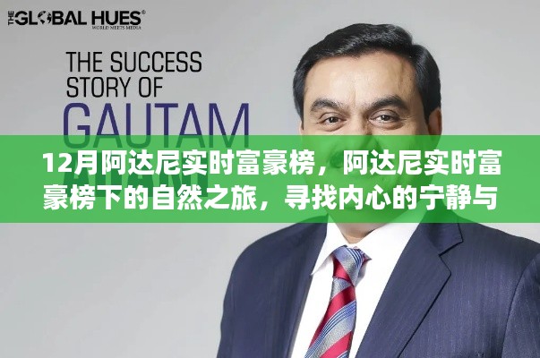 阿达尼实时富豪榜下的自然之旅，探寻内心宁静与喜悦的十二月之旅