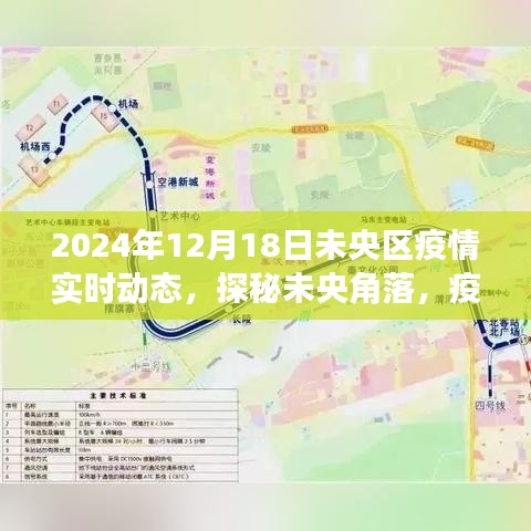 未央区疫情实时动态，小巷特色美食秘境探秘