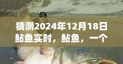 鲇鱼深度洞察，2024年12月18日的实时观察与预测