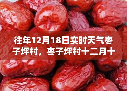 枣子坪村智能气象体验，科技重塑乡村生活，开启智能气象新纪元