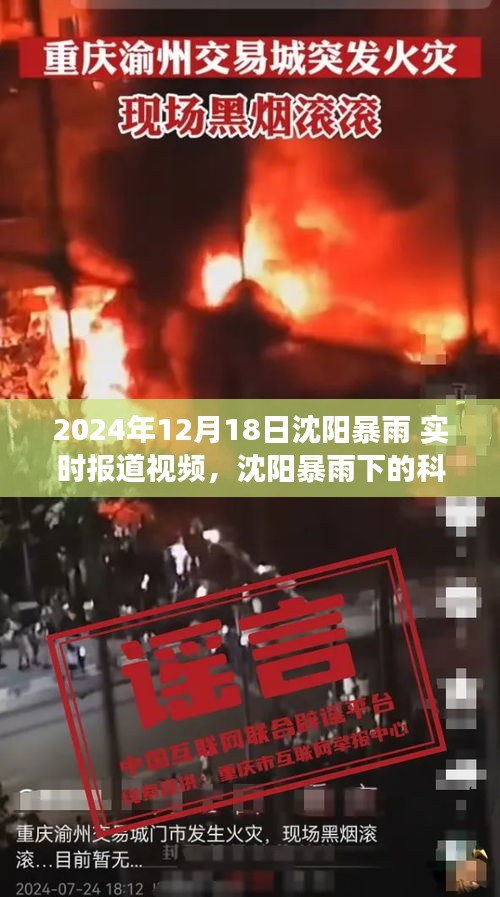 沈阳暴雨下的科技守护者，智能气象监测与实时报道系统体验报告（2024年12月18日）