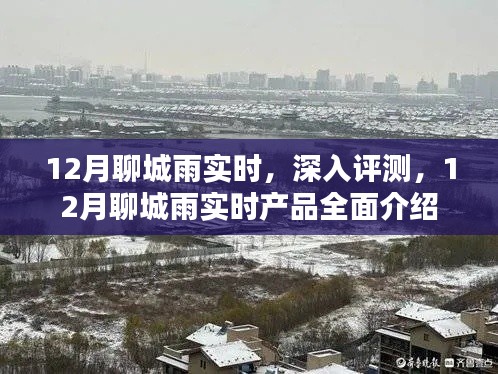 12月聊城雨实时产品深度评测与全面介绍