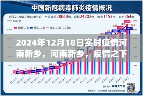 河南新乡疫情下的坚韧与希望，实时观察报告（2024年12月18日）