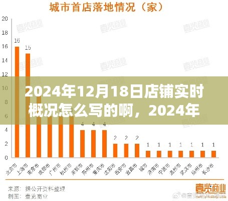 2024年12月18日店铺繁华实录，一日概览与商业印记的实时概况