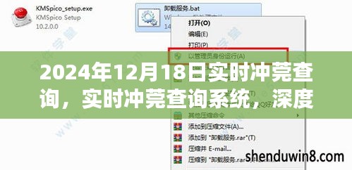 实时冲莞查询系统深度探析与观点阐述