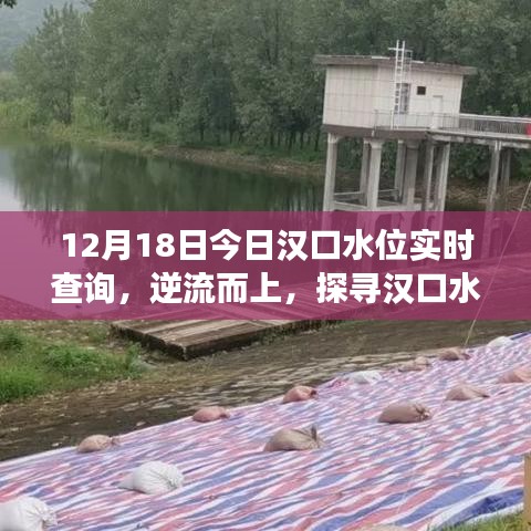 探寻汉口水位变迁轨迹，实时查询揭示逆流而上的力量（十二月十八日水位数据）