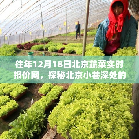 探秘北京蔬菜报价秘境，小巷深处的特色小店历年12月18日实时报价网回顾