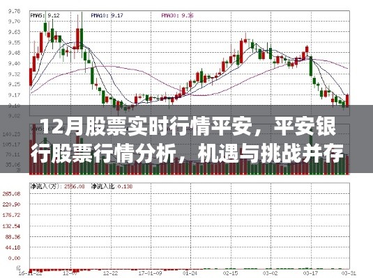 平安银行股票行情分析，机遇与挑战并存，实时行情解读