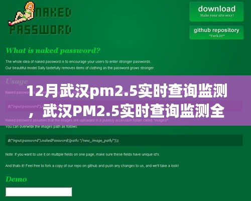 武汉PM2.5实时查询监测攻略，初学者与进阶用户操作指南