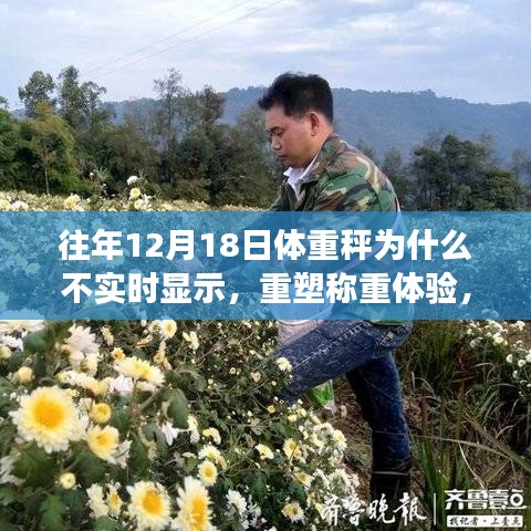 智能体重秤革新之旅，实时显示的秘密与重塑称重体验的挑战