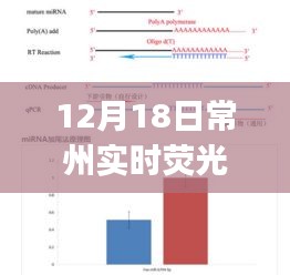 常州实战指南，实时荧光PCR应用详解及操作指南（12月18日版）