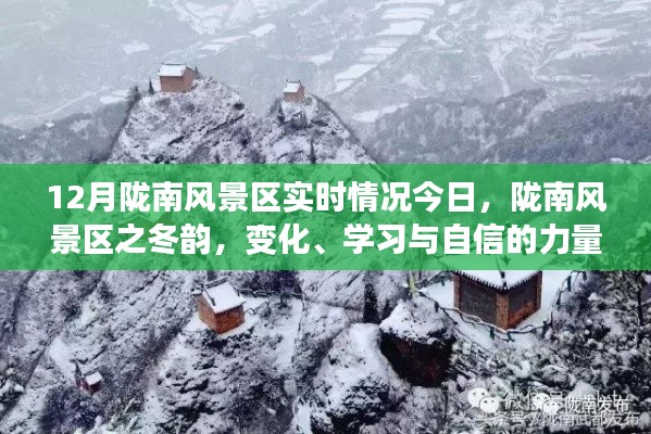 陇南风景区冬季实时探访，冬韵之美，变化中的自信与学习力量展现