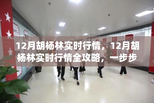 掌握市场动态，揭秘12月胡杨林实时行情全攻略