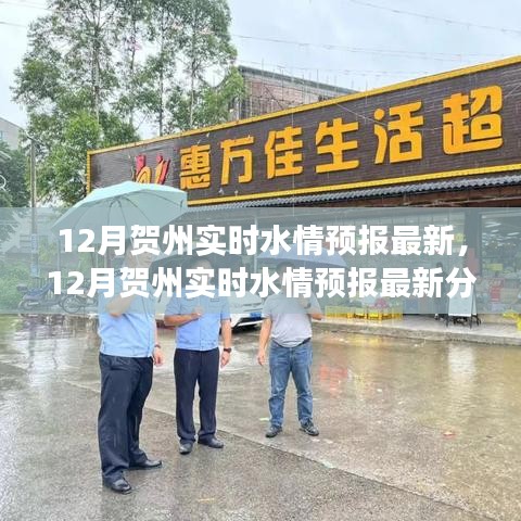 12月贺州水情实时预报分析与展望