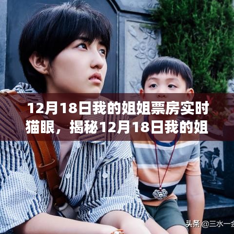 揭秘，我的姐姐票房奇迹背后的故事与深度解读（实时数据更新）
