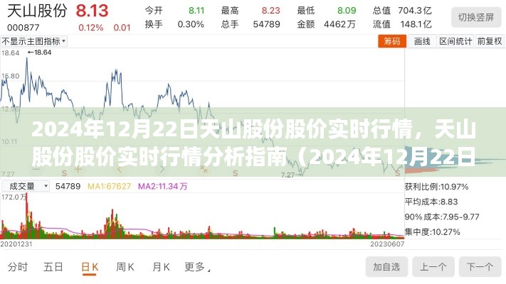 天山股份股价实时行情解析（2024年12月22日版），洞悉股市动态