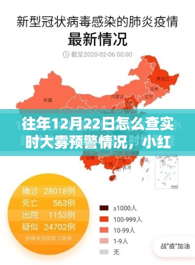 小红书分享，如何轻松查询往年12月22日实时大雾预警情况指南