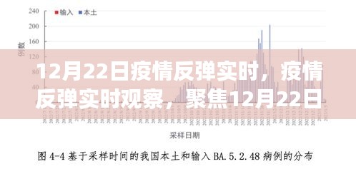 聚焦全球疫情动态，12月22日疫情反弹实时观察与趋势分析