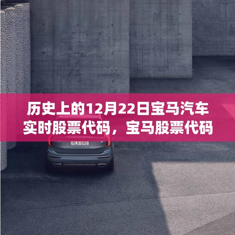 探寻宁静之美，宝马汽车实时股票代码背后的自然之旅与历史力量（历史篇）