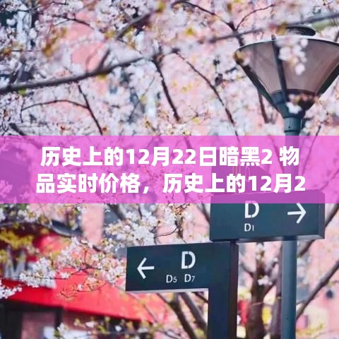 暗黑破坏神II物品实时价格回顾，历史上的12月22日与小红书收藏家心得分享