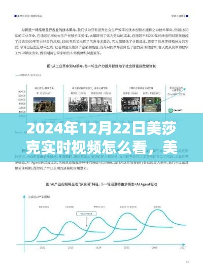 美莎克实时视频体验，领略科技前沿风采，革新视界体验，尽在2024年全新视界美莎克直播！