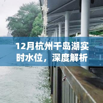 杭州千岛湖实时水位深度解析，特性、体验、竞品对比及用户洞察
