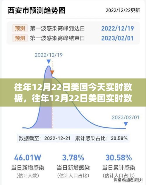 往年12月22日美国实时数据深度解析，特性、体验、竞品对比及用户群体全方位探讨